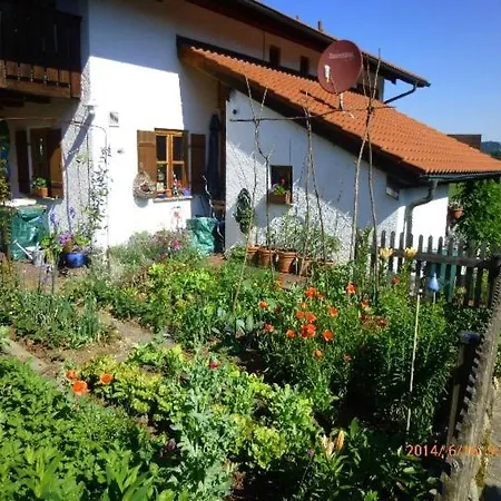 Schelhas Appartement *